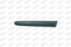 PRASCO PG0091402 Trim/Protective Strip, mudguard